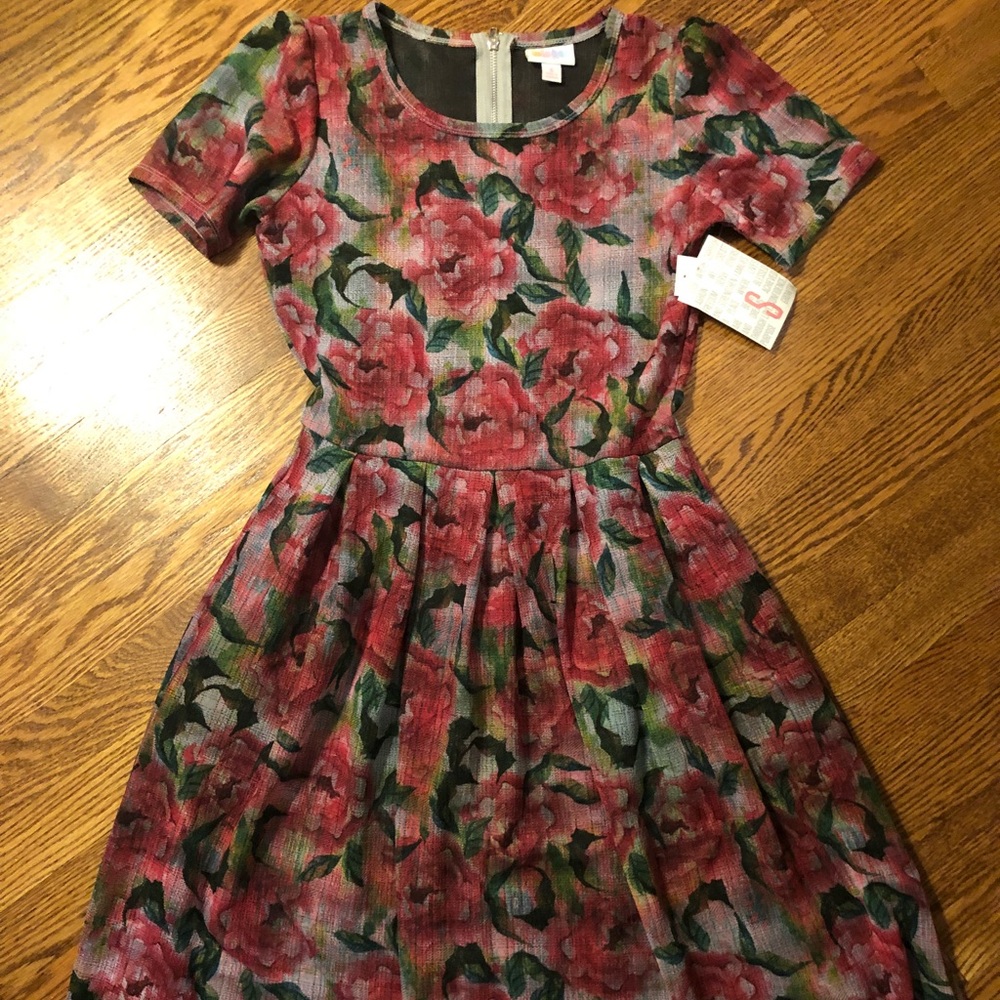 Lularoe Amelia Dress